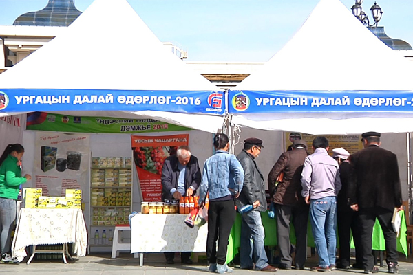 “Ургацын далай” үргэлжилж байна - UBinfo.mn